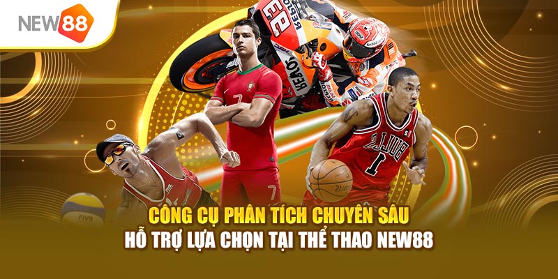 Công cụ phân tích chuyên sâu hỗ trợ lựa chọn tại thể thao New88