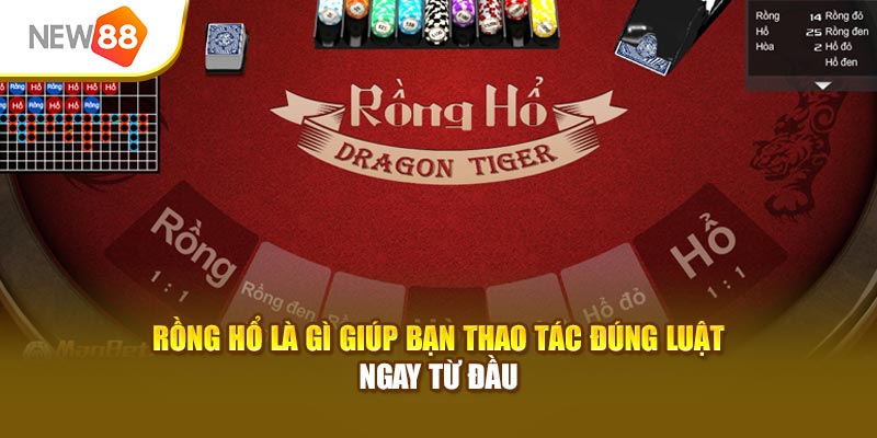 Rồng Hổ là gì giúp bạn thao tác đúng luật ngay từ đầu