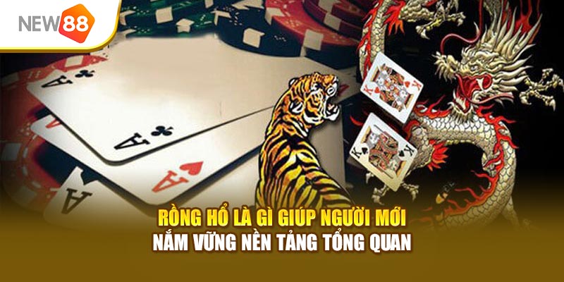 Rồng Hổ là gì giúp người mới nắm vững nền tảng tổng quan