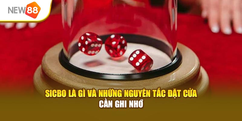 Sicbo là gì và những nguyên tắc đặt cửa cần ghi nhớ