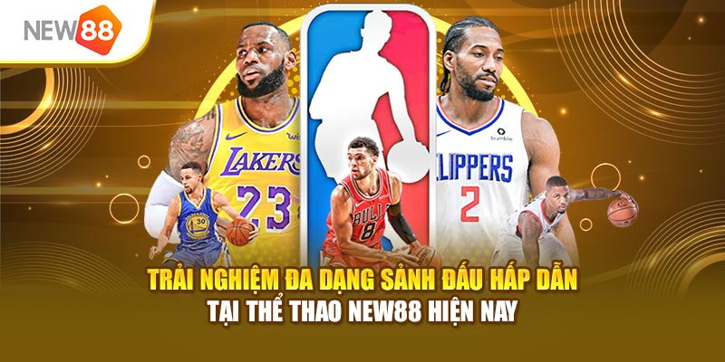 Trải nghiệm đa dạng sảnh đấu hấp dẫn tại thể thao New88 hiện nay