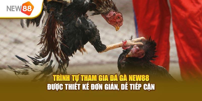 Trình tự tham gia đá gà New88 được thiết kế đơn giản, dễ tiếp cận